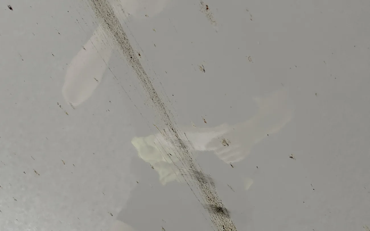 Private jet wing underside before cleaning, showing insect residue and a dull, filmed-over surface